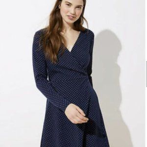 Loft navy jacquard polka dot dress